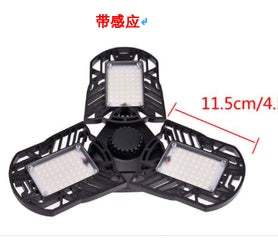 General Deformable Lamp