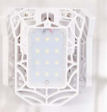 General Deformable Lamp
